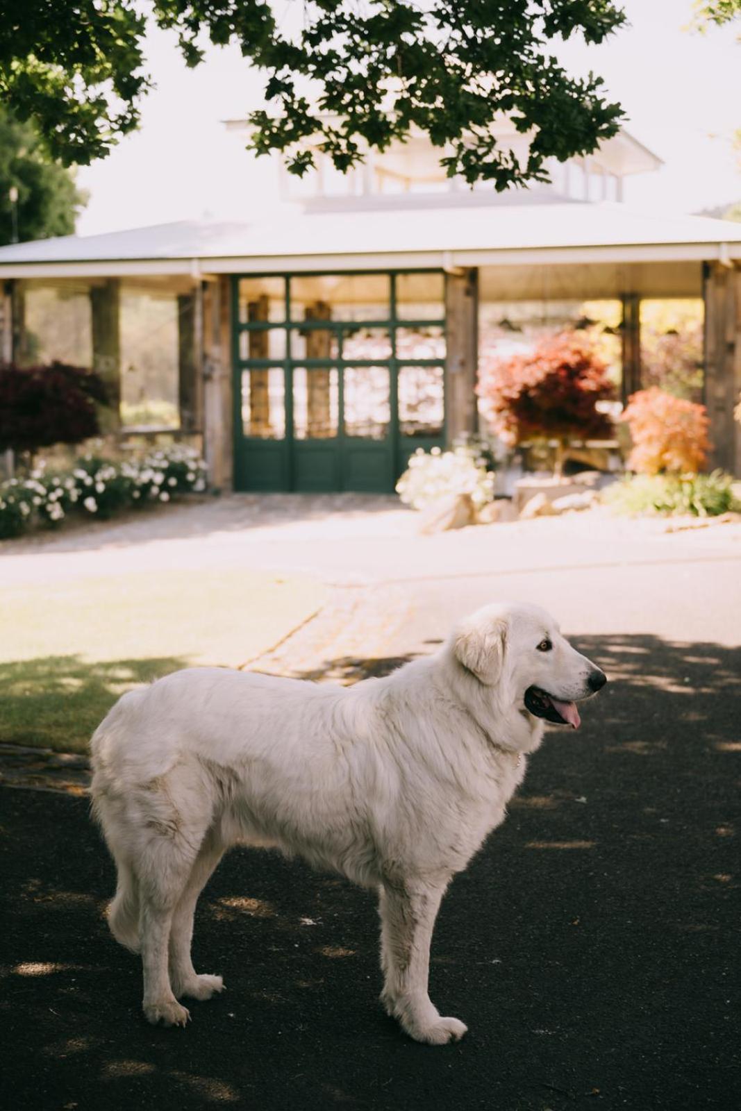 Flowerdale Estate Strath Creek エクステリア 写真
